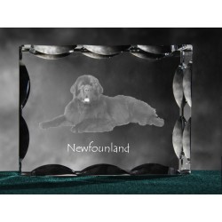 Nowofundlandczyk - kryształowy sześcian z wizerunkiem psa, wyjątkowy prezent!
