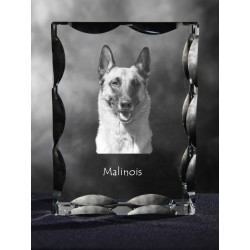 Malinois - kryształowy sześcian z wizerunkiem psa, wyjątkowy prezent!