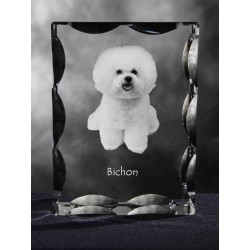 Bichon - kryształowy sześcian z wizerunkiem psa, wyjątkowy prezent!