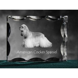 American Cocker Spaniel - kryształowy sześcian z wizerunkiem psa, wyjątkowy prezent!