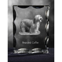 Bearded Collie - kryształowy sześcian z wizerunkiem psa, wyjątkowy prezent!