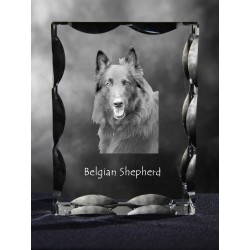 Cane da pastore belga, cristallo con il cane, souvenir, decorazione, in edizione limitata, ArtDog