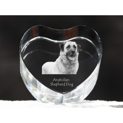 Anatolian Shepherd, crystal heart with dog, souvenir, decoration, limited edition, Collection