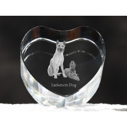 Laekenois, crystal heart with dog, souvenir, decoration, limited edition, Collection