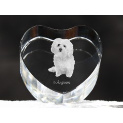 Bolognese, crystal heart with dog, souvenir, decoration, limited edition, Collection