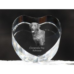Chesapeake Bay Retriever, crystal heart with dog, souvenir, decoration, limited edition, Collection