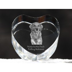 Retriever z Nowej Szkocji - kryształowe serce z wizerunkiem psa, dekoracja, prezent, kolekcja!