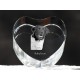 Stabyhoun, crystal heart with dog, souvenir, decoration, limited edition, Collection