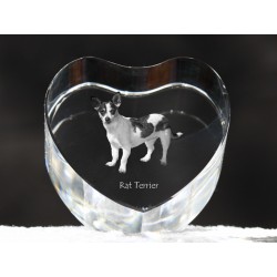 Rat Terrier - kryształowe serce z wizerunkiem psa, dekoracja, prezent, kolekcja!