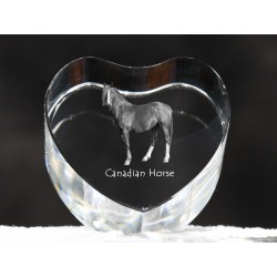 Koń kanadyjski - kryształowe serce z wizerunkiem konia, dekoracja, prezent, kolekcja!