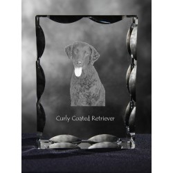 Curly Coated Retriever, Cubic crystal with dog, souvenir, decoration, limited edition, Collection