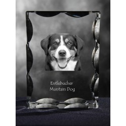 Entlebucher Mountain Dog, Cubic crystal with dog, souvenir, decoration, limited edition, Collection