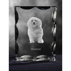 Havanese, Cubic crystal with dog, souvenir, decoration, limited edition, Collection