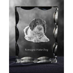 Romagna Water Dog, Cubic crystal with dog, souvenir, decoration, limited edition, Collection