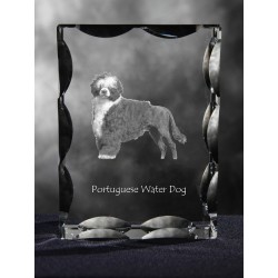 Portuguese Water Dog, Cubic crystal with dog, souvenir, decoration, limited edition, Collection