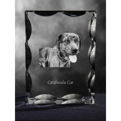 Catahoula Cur, Cubic crystal with dog, souvenir, decoration, limited edition, Collection