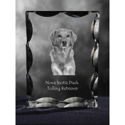 Nova Scotia Duck Tolling Retriever, Cubic crystal with dog, souvenir, decoration, limited edition, Collection