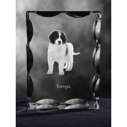 Tronjak, Cubic crystal with dog, souvenir, decoration, limited edition, Collection