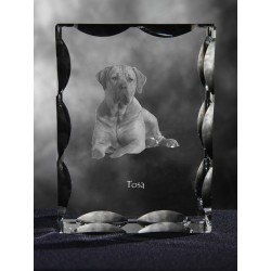 Tosa, Cubic crystal with dog, souvenir, decoration, limited edition, Collection