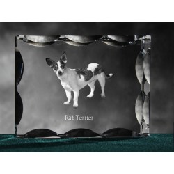 Rat Terrier, Cubic crystal with dog, souvenir, decoration, limited edition, Collection