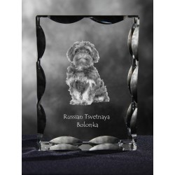 Bolonka, Cubic crystal with dog, souvenir, decoration, limited edition, Collection