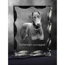 Dobermann uncropped, Cubic crystal with dog, souvenir, decoration, limited edition, Collection