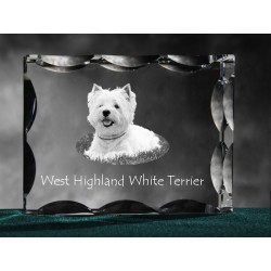West Highland terrier, cristallo con il cane, souvenir, decorazione, in edizione limitata, ArtDog