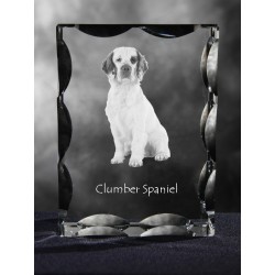 Clumber Spaniel, Cubic crystal with dog, souvenir, decoration, limited edition, Collection