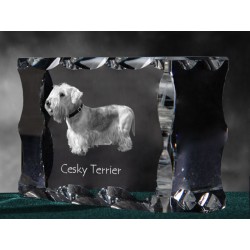 Cesky Terrier, cristallo con il cane, souvenir, decorazione, in edizione limitata, ArtDog