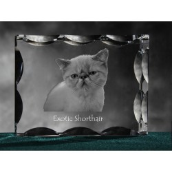 Exotic shorthair, cristal avec un chat, souvenir, décoration, édition limitée, ArtDog