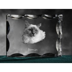 Sacré de Birmanie, cristal avec un chat, souvenir, décoration, édition limitée, ArtDog