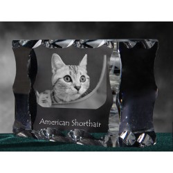 American shorthair, cristal avec un chat, souvenir, décoration, édition limitée, ArtDog