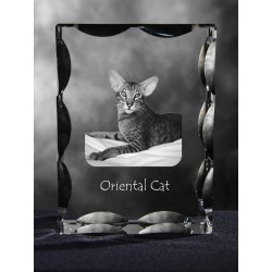 Oriental shorthair, cristal avec un chat, souvenir, décoration, édition limitée, ArtDog