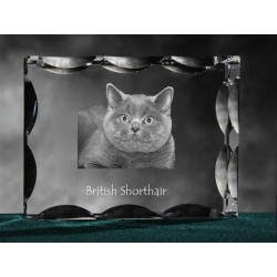 British Shorthair, de cristal con el gato, recuerdo, decoración, edición limitada, ArtDog