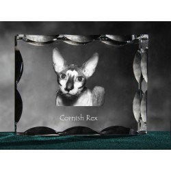 Cornish Rex, de cristal con el gato, recuerdo, decoración, edición limitada, ArtDog
