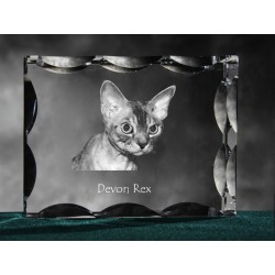 Devon rex, cristal avec un chat, souvenir, décoration, édition limitée, ArtDog