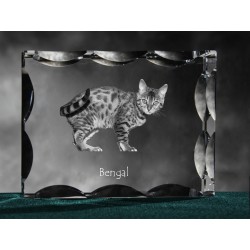 Bengal, cristal avec un chat, souvenir, décoration, édition limitée, ArtDog