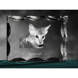 Kot savannah - kryształowy sześcian z wizerunkiem kota, wyjątkowy prezent!