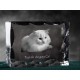 cristallo con il gatto, souvenir, decorazione, in edizione limitata, ArtDog