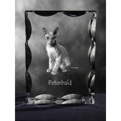 Peterbald, Cubic crystal with cat, souvenir, decoration, limited edition, Collection