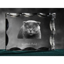 Schottische Faltohrkatze, Kristall mit Katze, Souvenir, Dekoration, limitierte Auflage, ArtDog