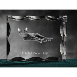 Cubic crystal with cat, souvenir, decoration, limited edition, Collection