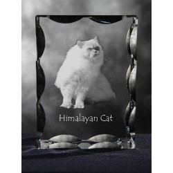 Himalayen, cristal avec un chat, souvenir, décoration, édition limitée, ArtDog