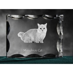 Munchkin, cristal avec un chat, souvenir, décoration, édition limitée, ArtDog