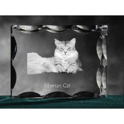 Siberiano, cristal avec un chat, souvenir, décoration, édition limitée, ArtDog