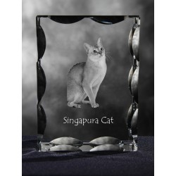 Kot singapurski - kryształowy sześcian z wizerunkiem kota, wyjątkowy prezent!