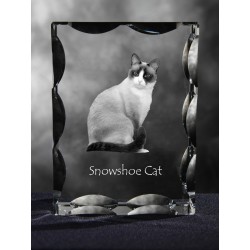 Snowshoe, cristal avec un chat, souvenir, décoration, édition limitée, ArtDog