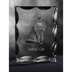 Somali cat, Cubic crystal with cat, souvenir, decoration, limited edition, Collection