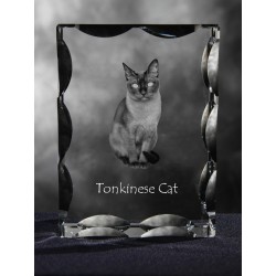 Tonkinese cat, Cubic crystal with cat, souvenir, decoration, limited edition, Collection