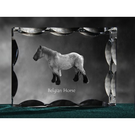 kryształowy sześcian z wizerunkiem konia, wyjątkowy prezent!